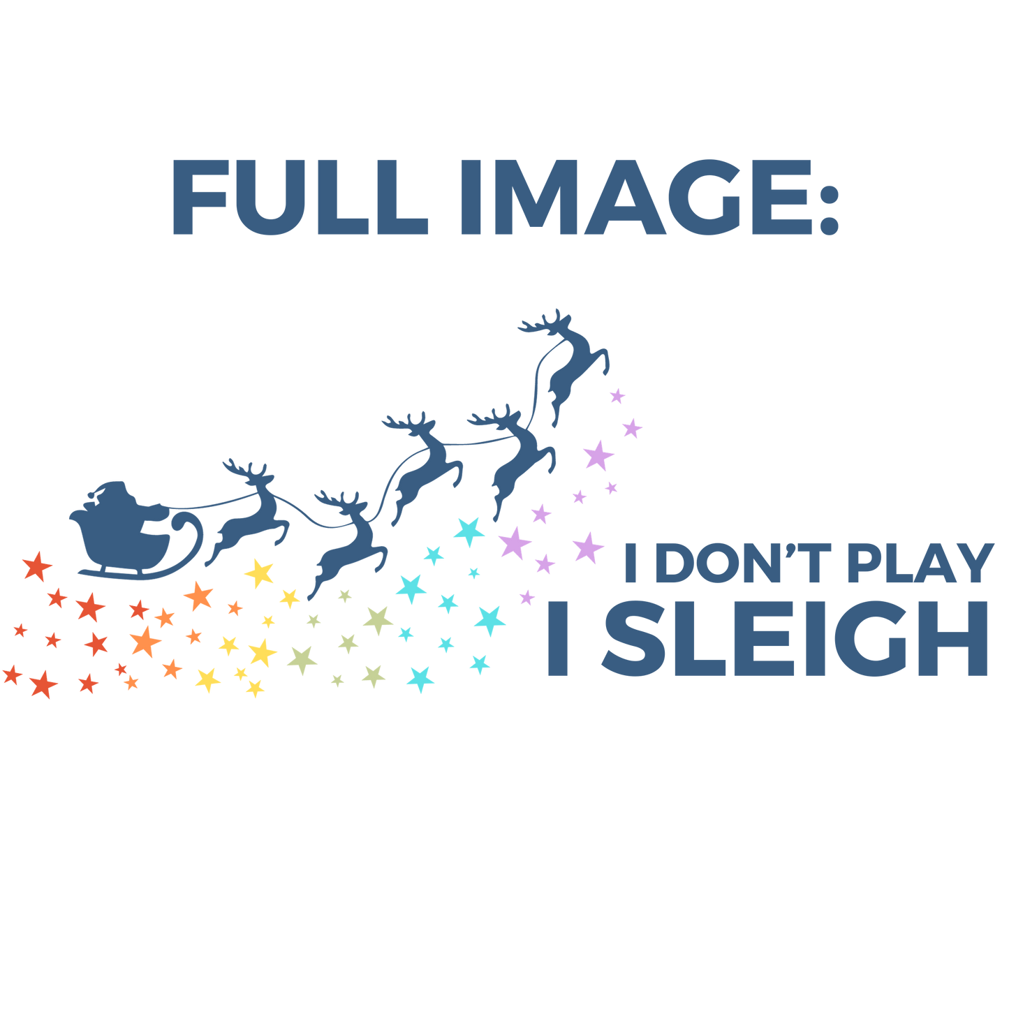 I Don't Play I Sleigh Mug