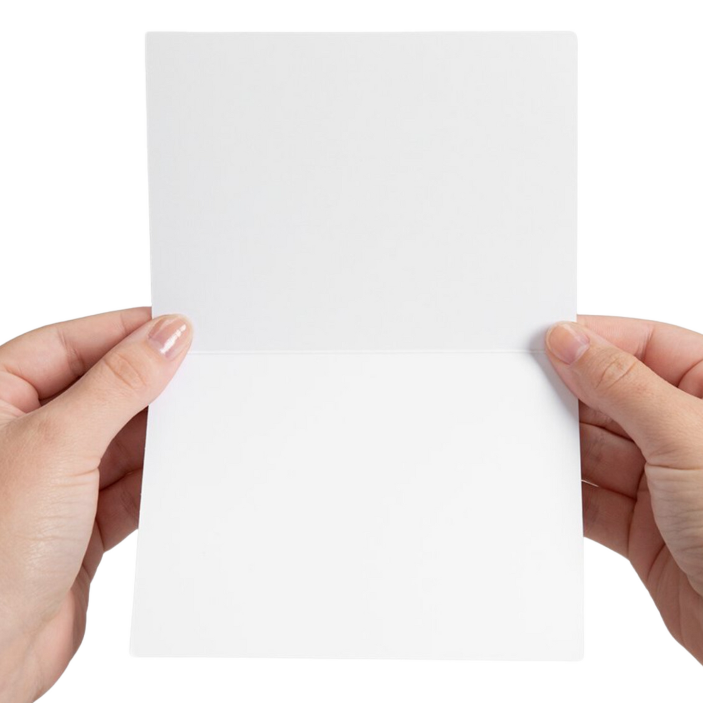 Merry SWIFTmas Card