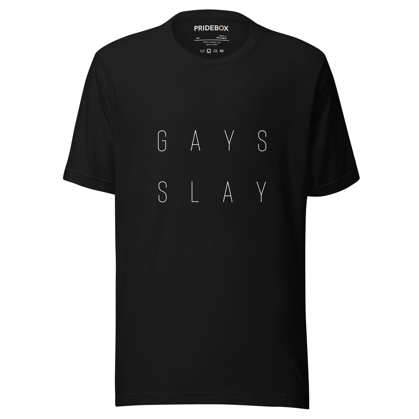 Gays Slay Unisex t-shirt