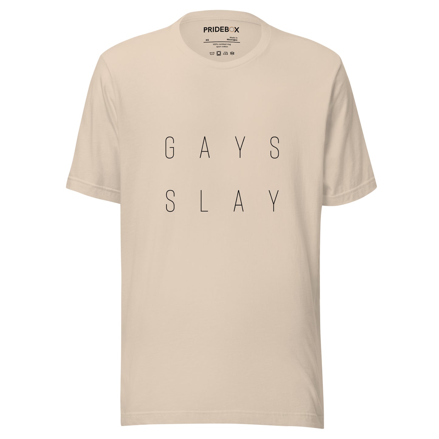 Gays Slay Unisex t-shirt