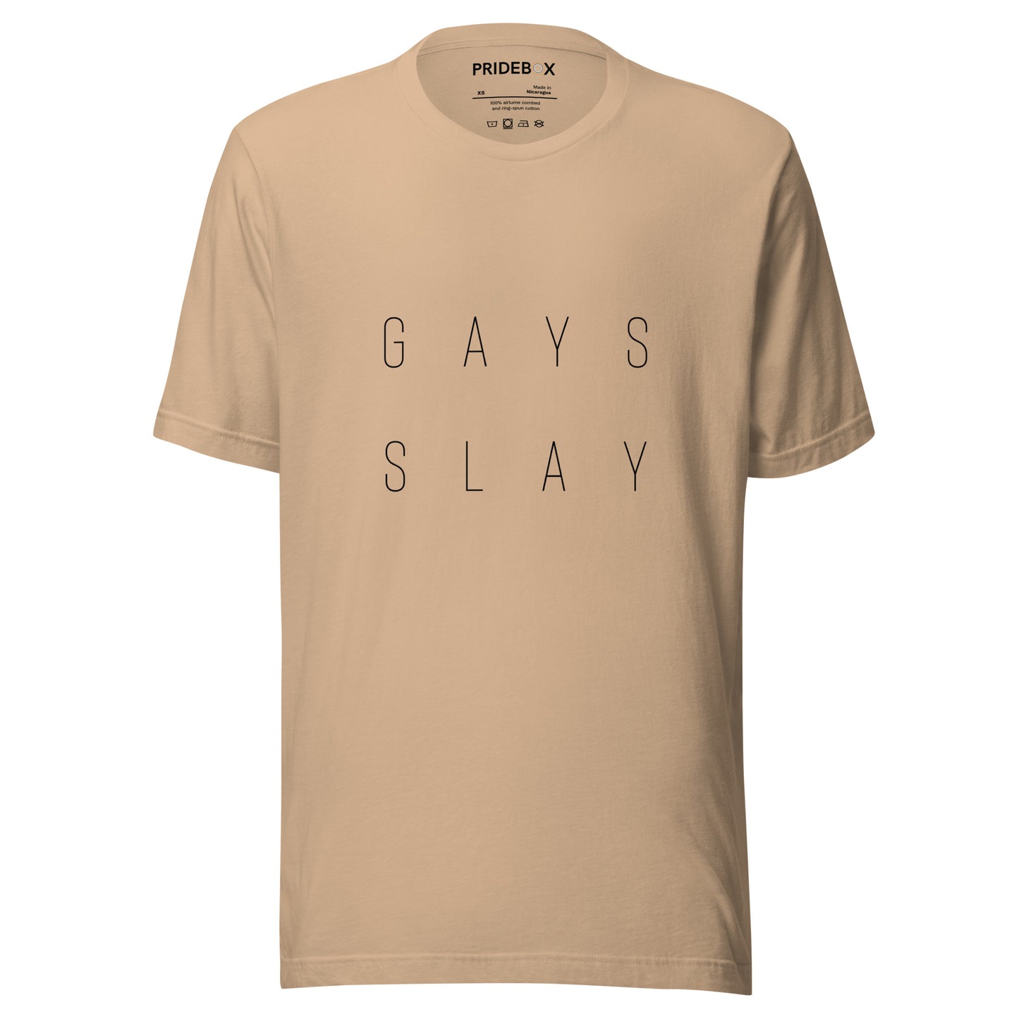 Gays Slay Unisex t-shirt