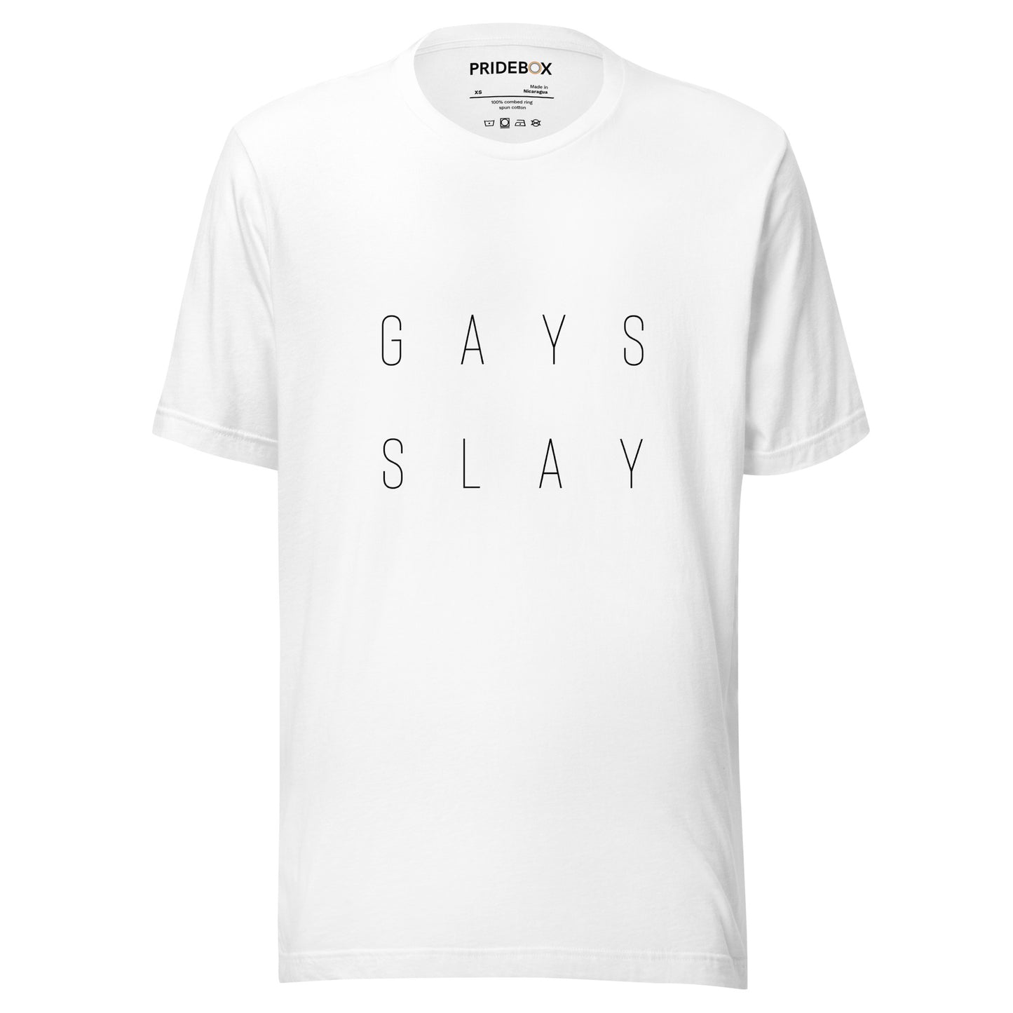 Gays Slay Unisex t-shirt
