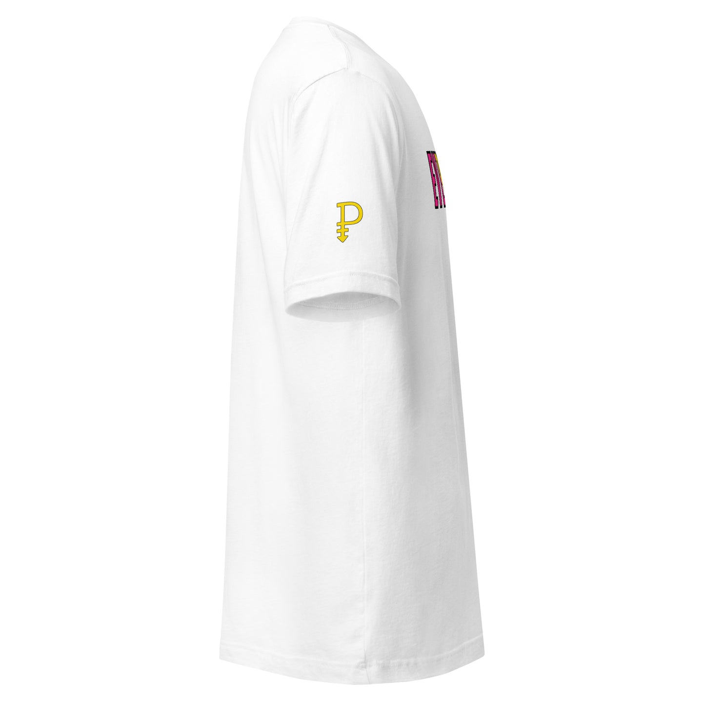 Pansexual Pride Everybody Unisex t-shirt