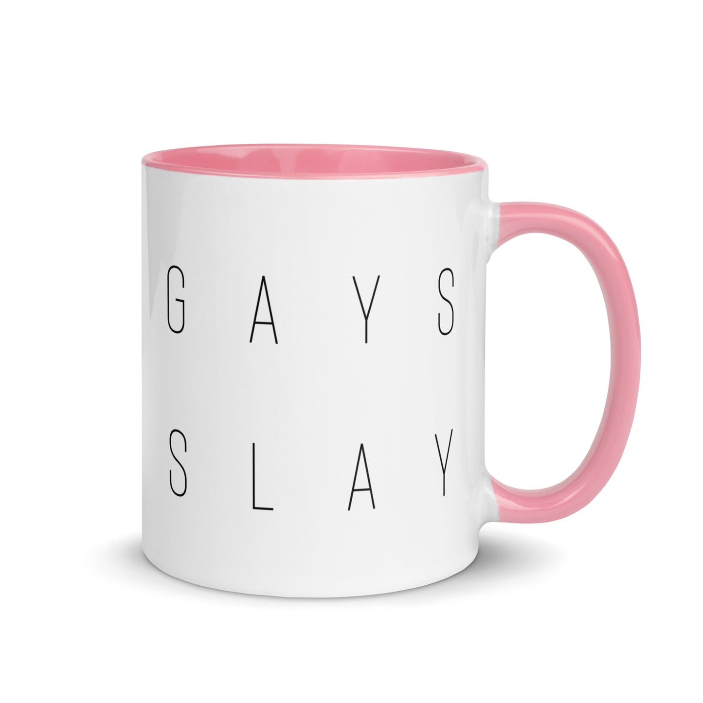 Gays Slay Mug