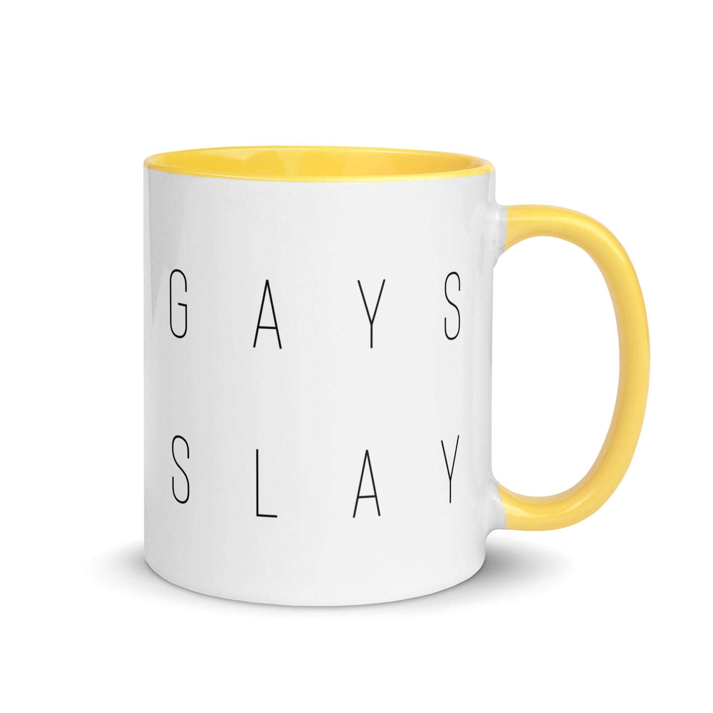 Gays Slay Mug