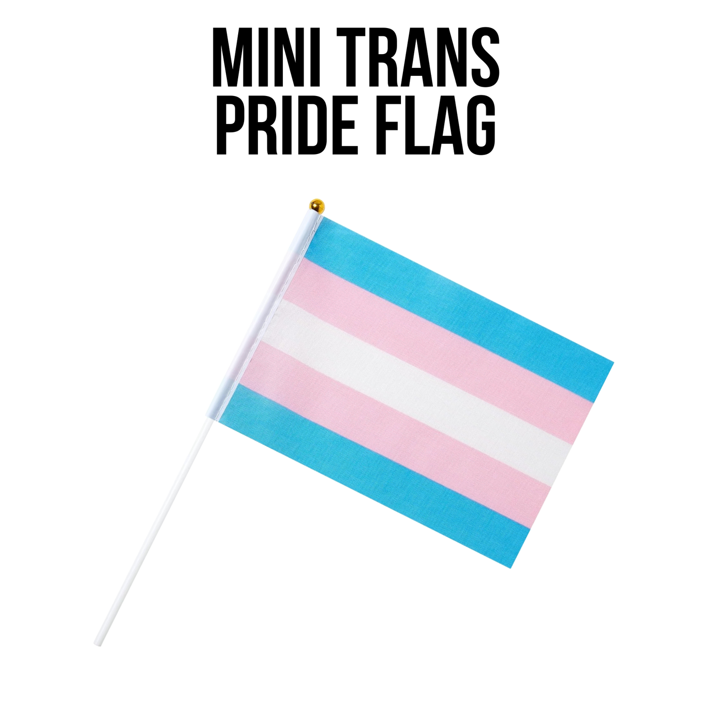 Trans Pride Kit